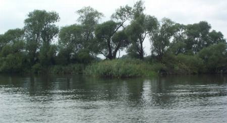 Naturlandschaft