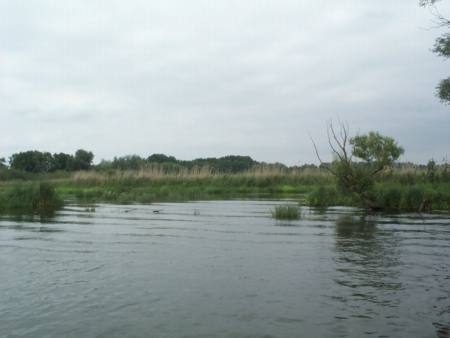 Naturlandschaft