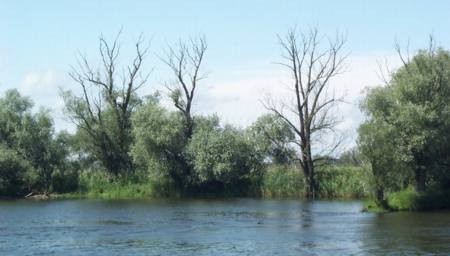 Naturlandschaft